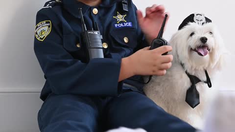 Police dogs training #short