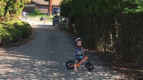 Collab copyright protection - boy striped shirt orange bike fall