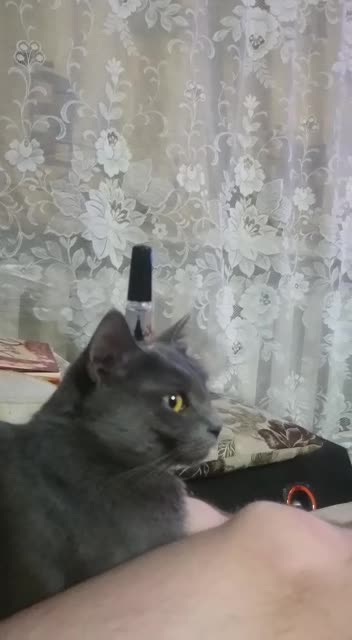 Покорство и смирение