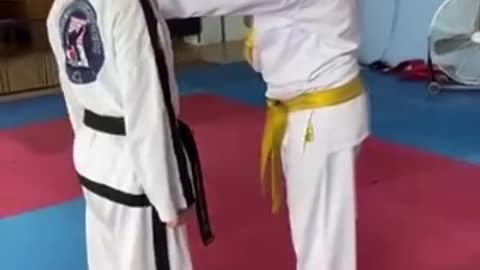 Hapkido