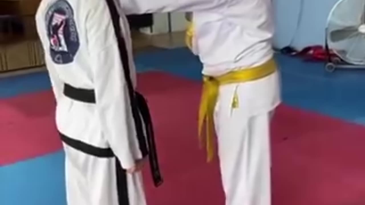 Hapkido