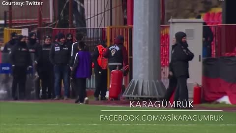 Canine interruption: How a dog brought a football match to a halt 🤣