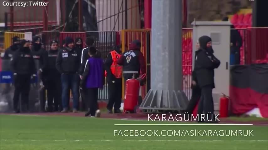 Canine interruption: How a dog brought a football match to a halt 🤣