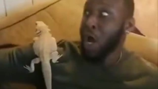 Here, want to hold him? (Sound on)