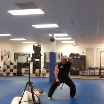 Tong Hap Kwan Hapkido/Hoshinsul Techniques