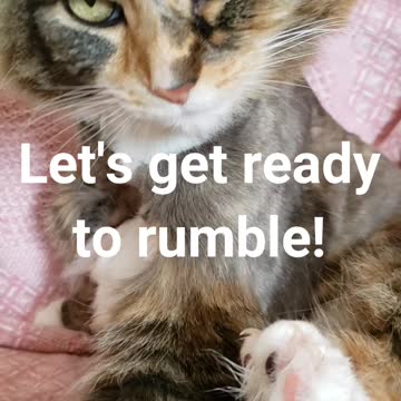 Clean beans for rumble