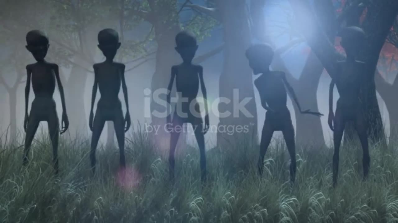 ALIENS IN A FOREST