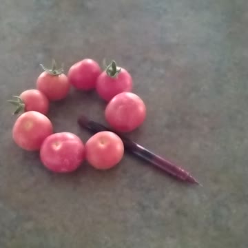 Q Anon tomatoes July 17