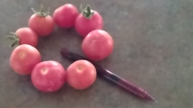 Q Anon tomatoes July 17