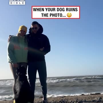 Dog ruins photo with a butt scoot 🐶