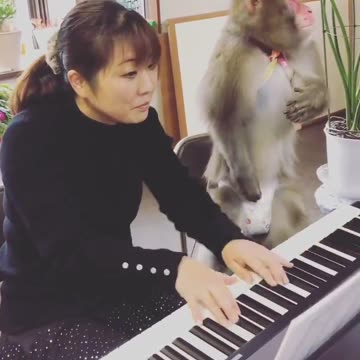 All my teachers back home method of teaching