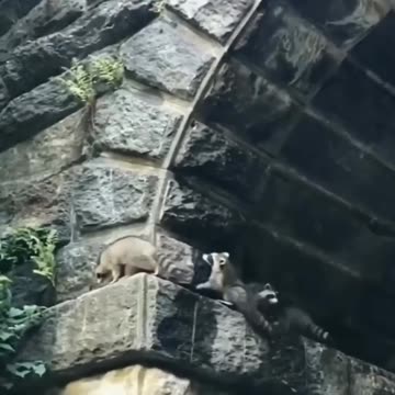 Every other mission impossible scene 🤣