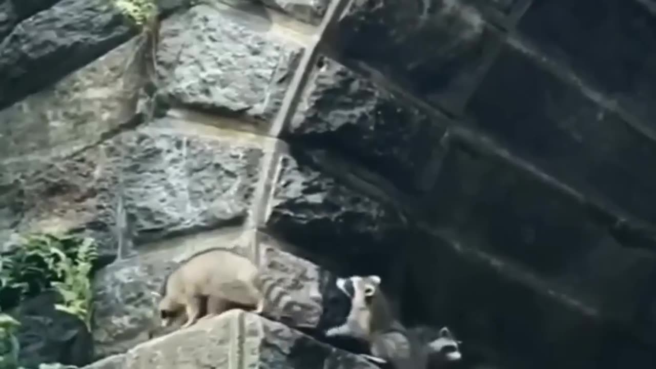 Every other mission impossible scene 🤣