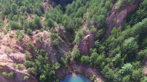 Lake and Trees