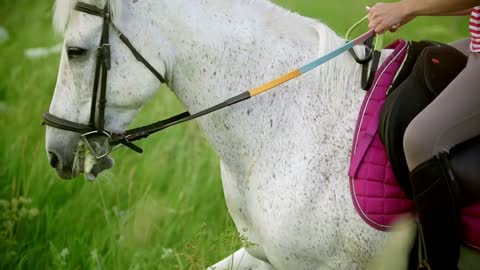 Young woman galloping on horse through the meadow at summer evening