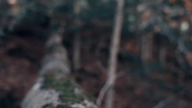 In the mountains