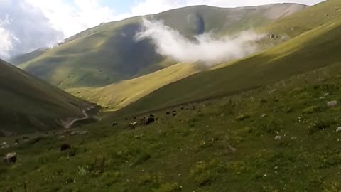 A view from the foothills of the plateau.