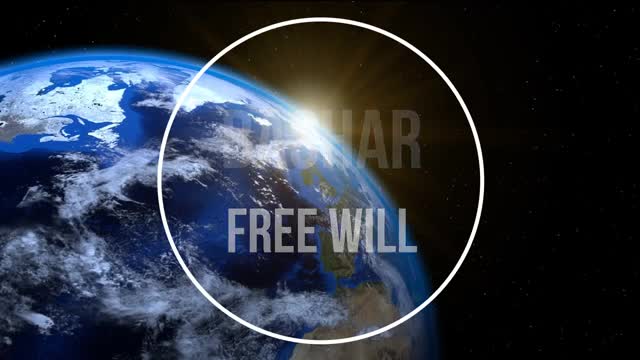 Free Will ELAN Bashar Reverend Crystal Cox