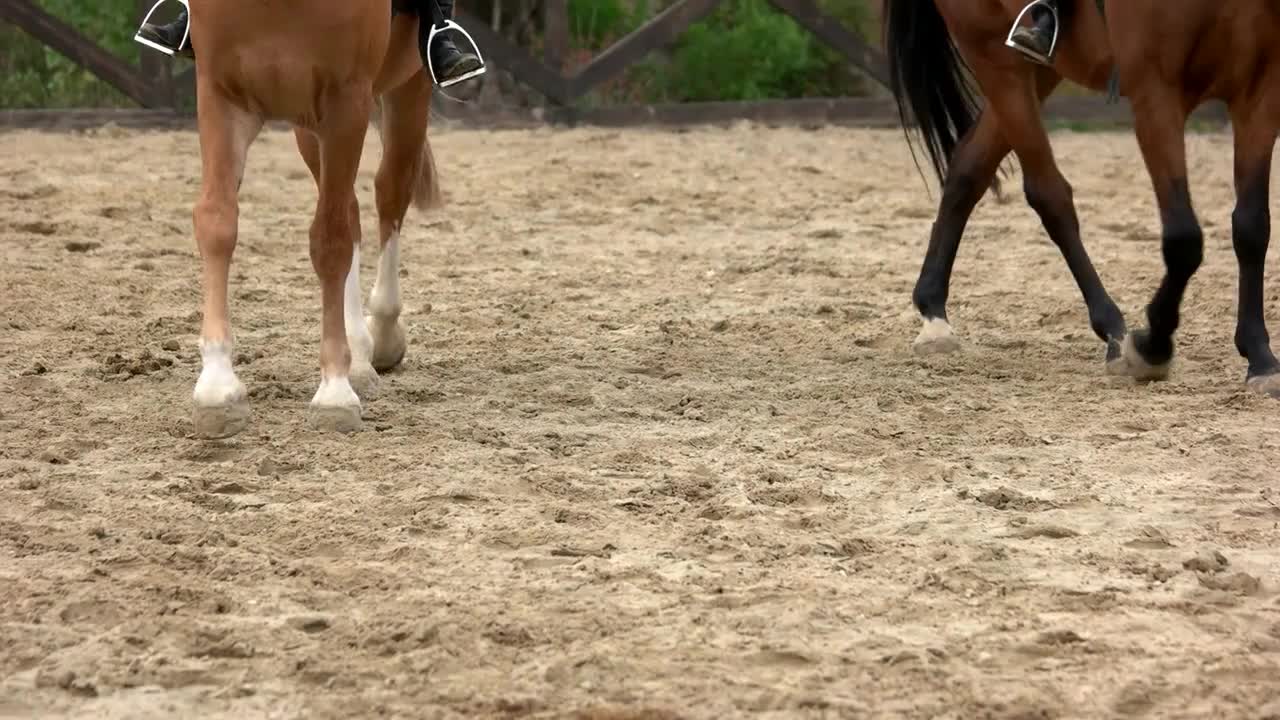 Hooves of walking horses on the sand