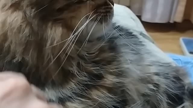 Old friend