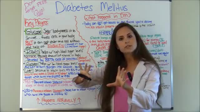 Diabetes Mellitus Pathophysiology - Nursing Diabetes Nursing Lecture NCLEX Type 1 - Type 2