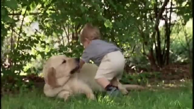 Little baby and dog