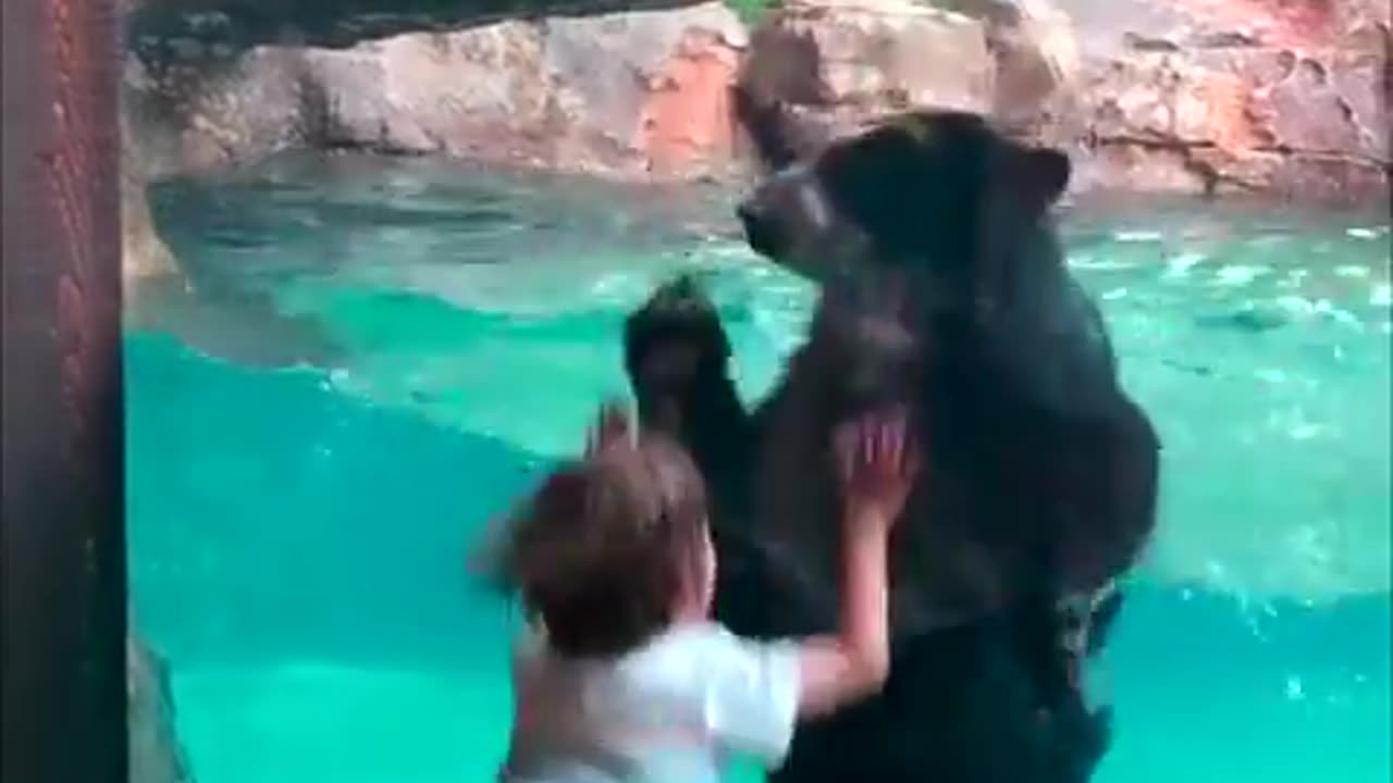 Bear and Boy Jump Together