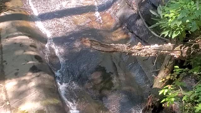 water from the footbridge