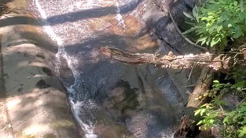 water from the footbridge