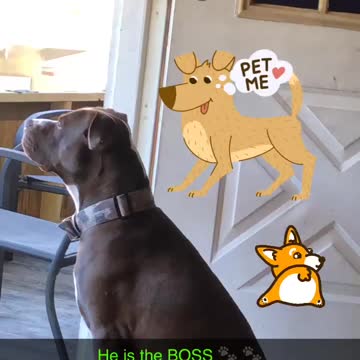 He is the boss today