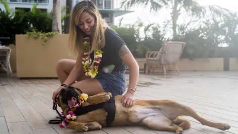Dog Reunites with their Former Handler!