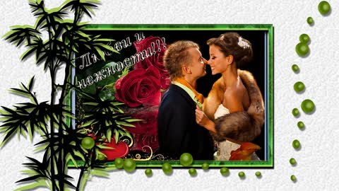 2028_Project ProShow Producer орхидея