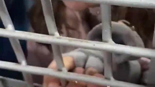 Children aged 7-11 crying in a Moscow jail after having been arrested by Putin’s police