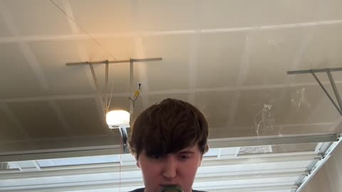 Day 17 pt2 Green Day :)