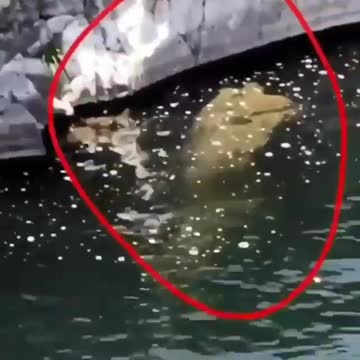 Dinosaurs return to Planet Earth