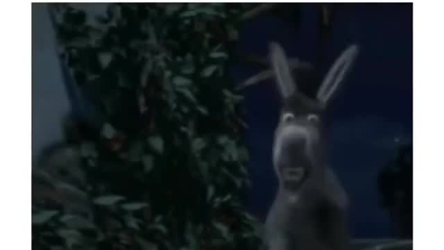 Me after the pandemic ends