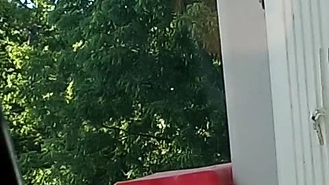 DRUGGED UP LADY BEGGING MY HUSBAND FOR MONEY! GTFO BEECH