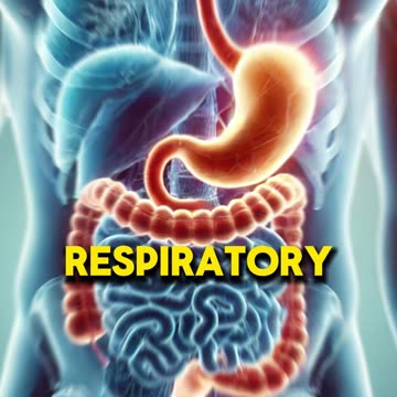 Transform Your Lung Health with Mullein Flower and Leaf Extract 🌱 | Natural Respiratory Support