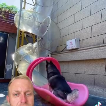 When you need a break from the rabbit hole