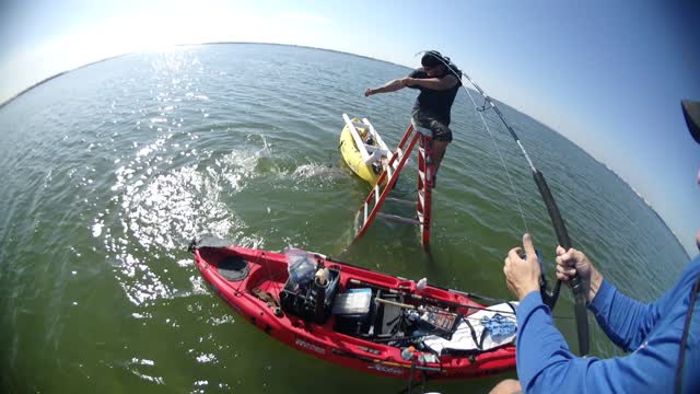 Blacktip Shark Caught from Ladder