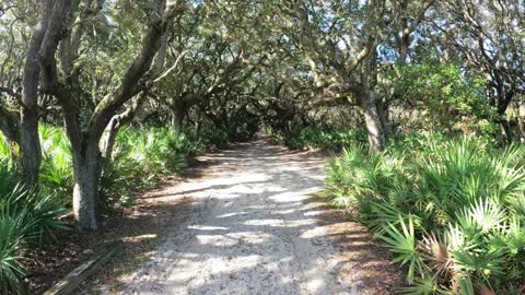 2020-11 Backpacking on Cumberland Island, GA