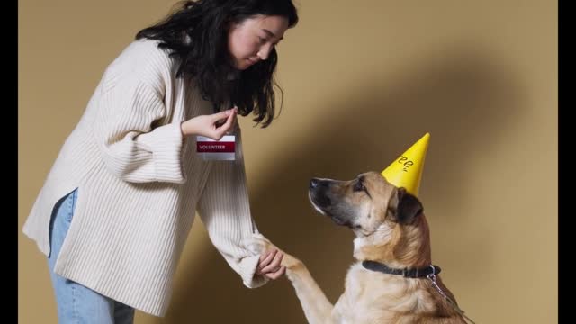 Cute dog 🐶animals videos compilation of cute moment animals 🐕🐕🦺🐕 / Dogs In Nature #16 #shorts