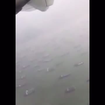 Holy Ship! Batman! The Suez Canal is backed up and waiting on Evergreen to get moved out of the way!