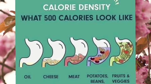 Discover the Secrets of Calorie Density: 500 Calories Exposed