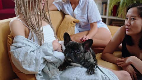 3 beautiful women and a bulldog