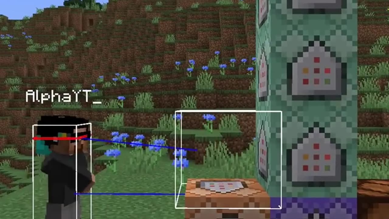 You cannot break this minecraft block