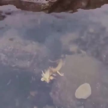 Are you seeing this too?