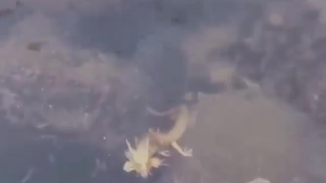Are you seeing this too?