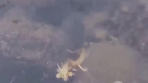 Are you seeing this too?
