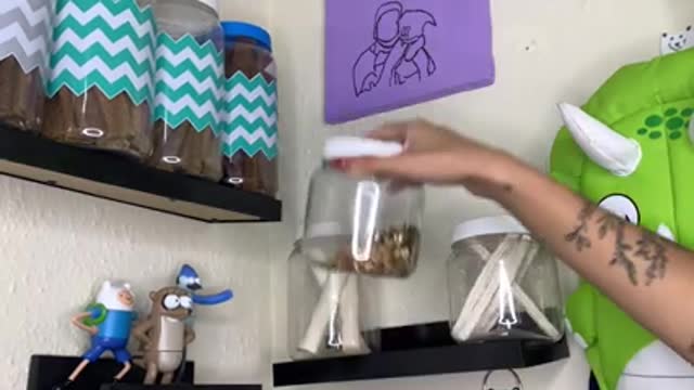 Tour pelo meu cantinho